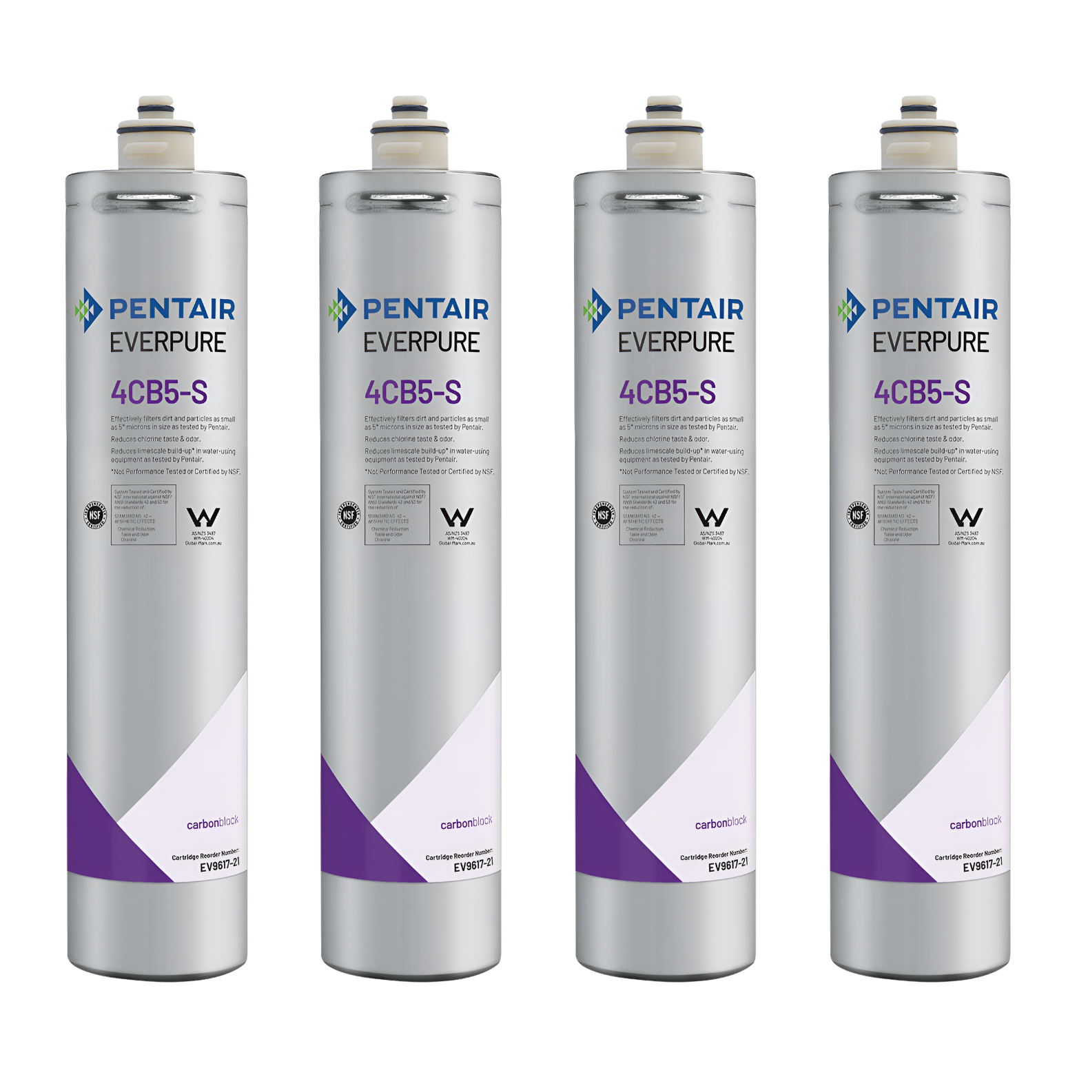 Everpure 4CB5-S Steam Filter Cartridge (EV9617-26/EV9617-21)