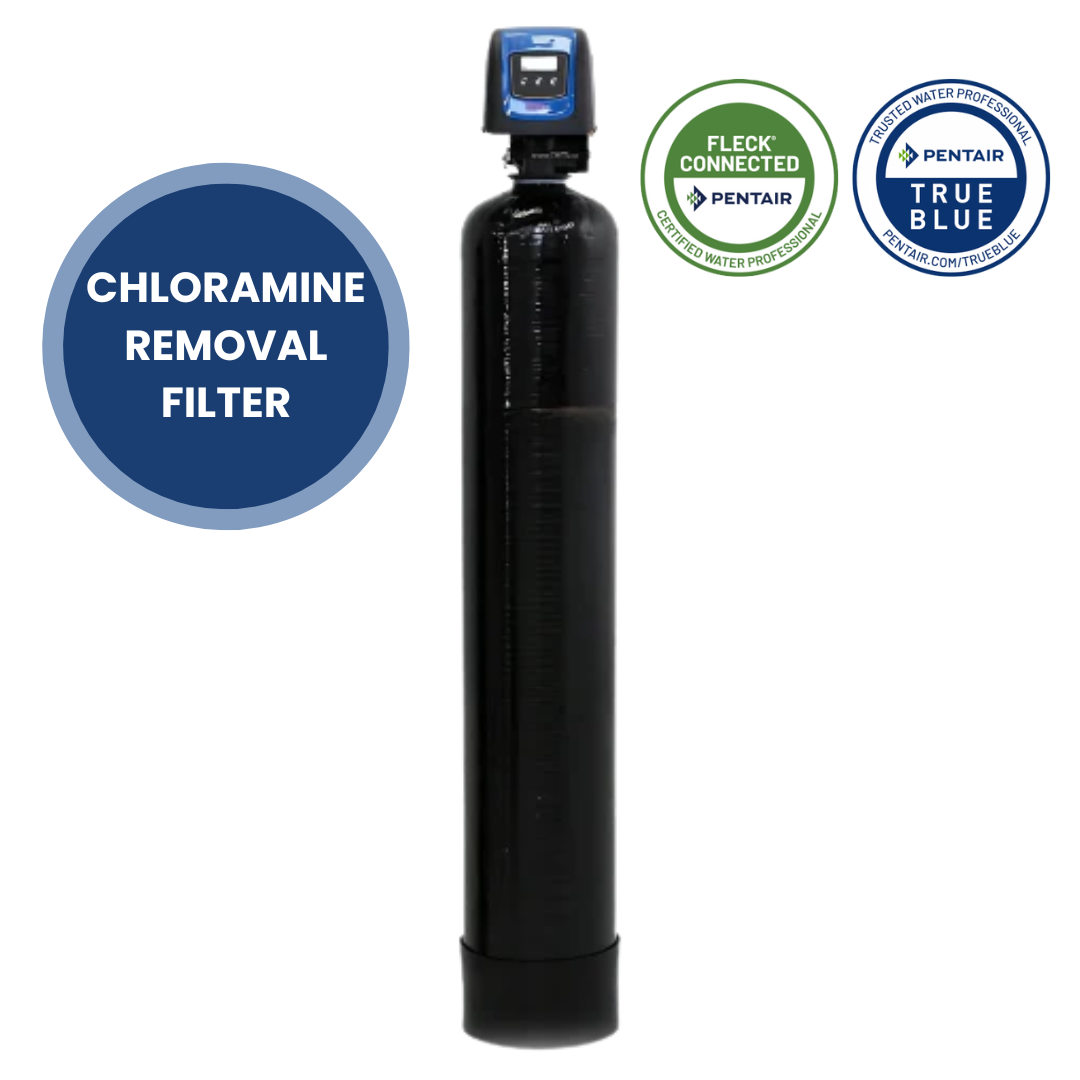 Fleck 5800 SXT Whole House Catalytic Carbon Filter