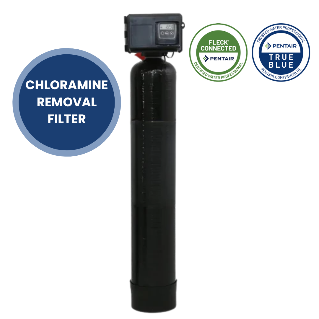 Fleck 2510 SXT Whole House Catalytic Carbon Filter