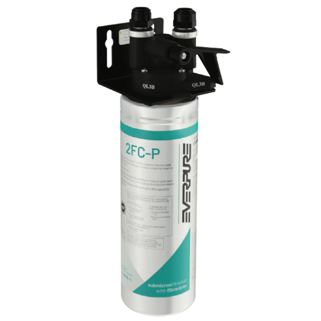 Everpure 2FC-P PFOA/PFOS Reduction System (EV9298-00)