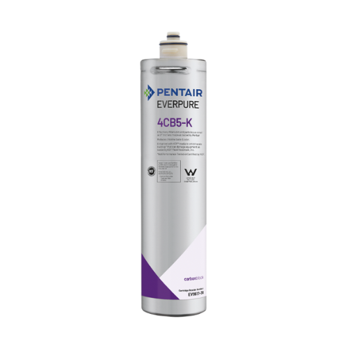 Everpure 4CB5-K Filter Cartridge (EV9617-36)