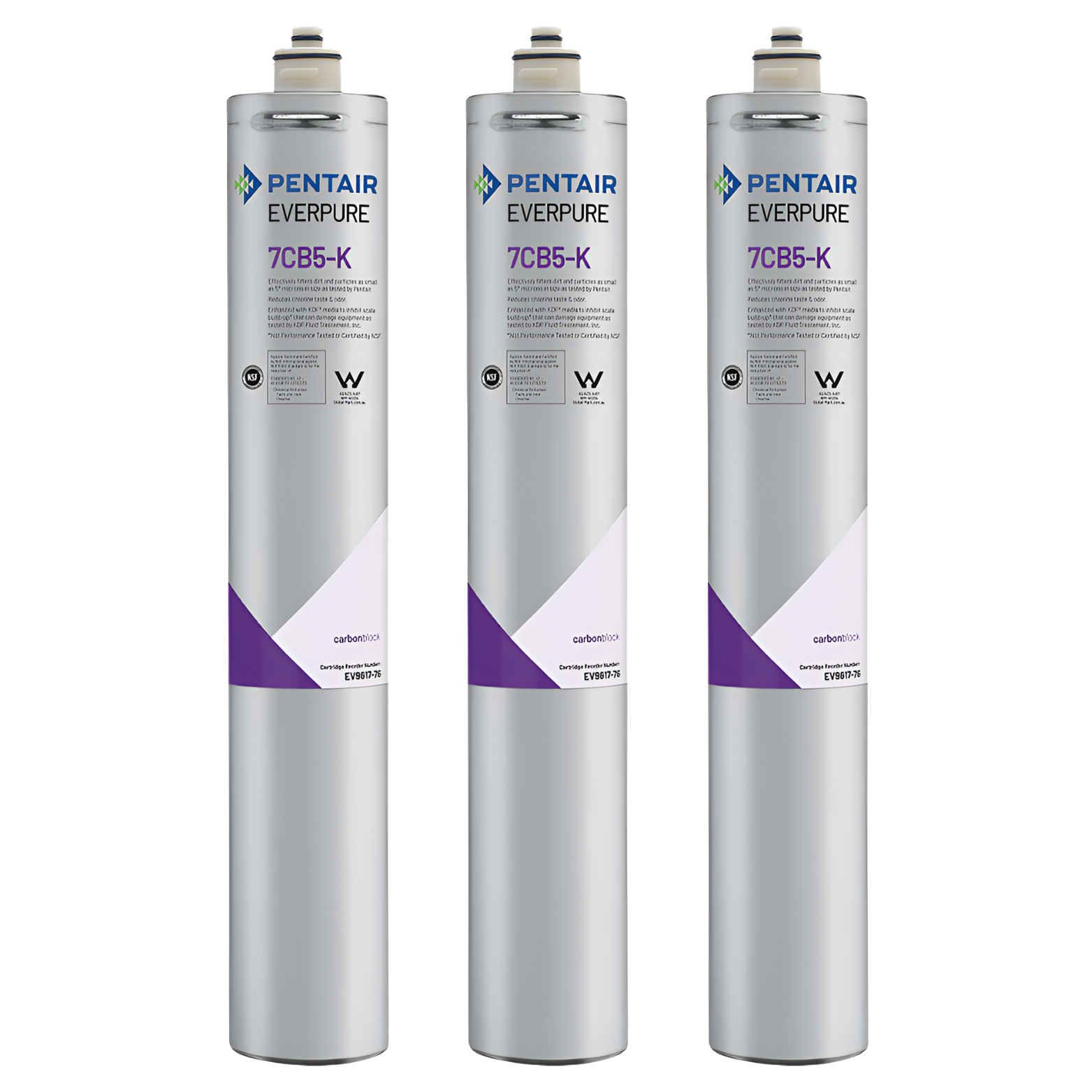 Everpure 7CB5 Steam Filter Cartridge (EV9618-76)