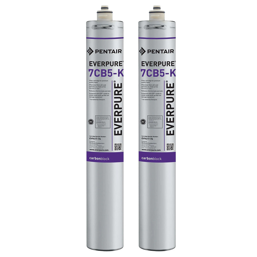 Everpure 7CB5 Steam Filter Cartridge (EV9618-16)