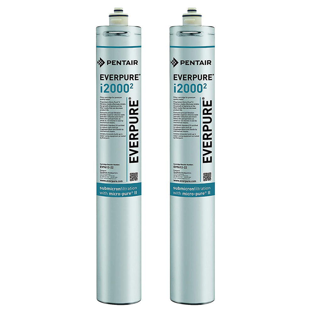 Everpure i2000 Ice Filter Cartridge (EV9612-27)