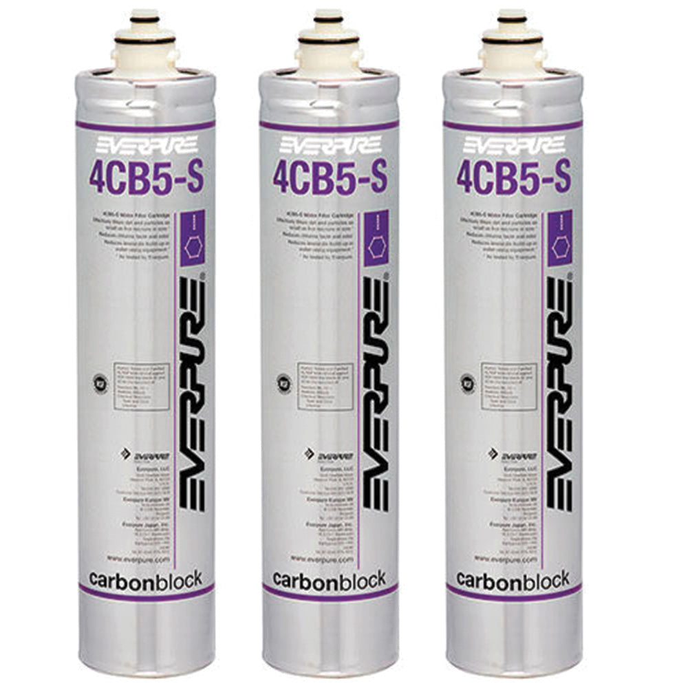 Everpure 4CB5-S Steam Filter Cartridge (EV9617-26/EV9617-21)