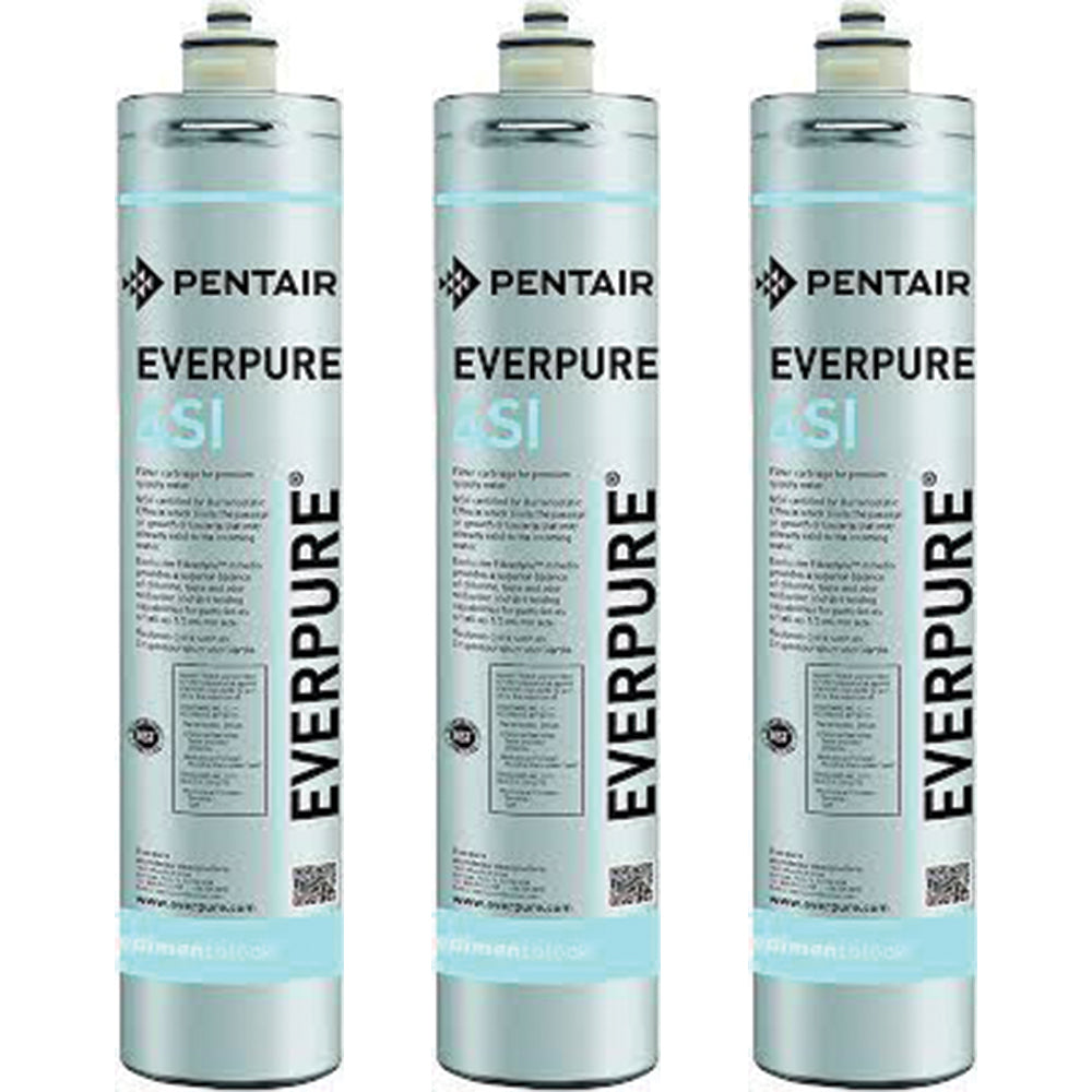 Everpure 4SI Ice Filter Cartridge (EV9606-51)