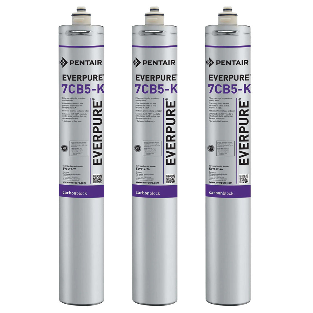 Everpure 7CB5 Steam Filter Cartridge (EV9618-16)