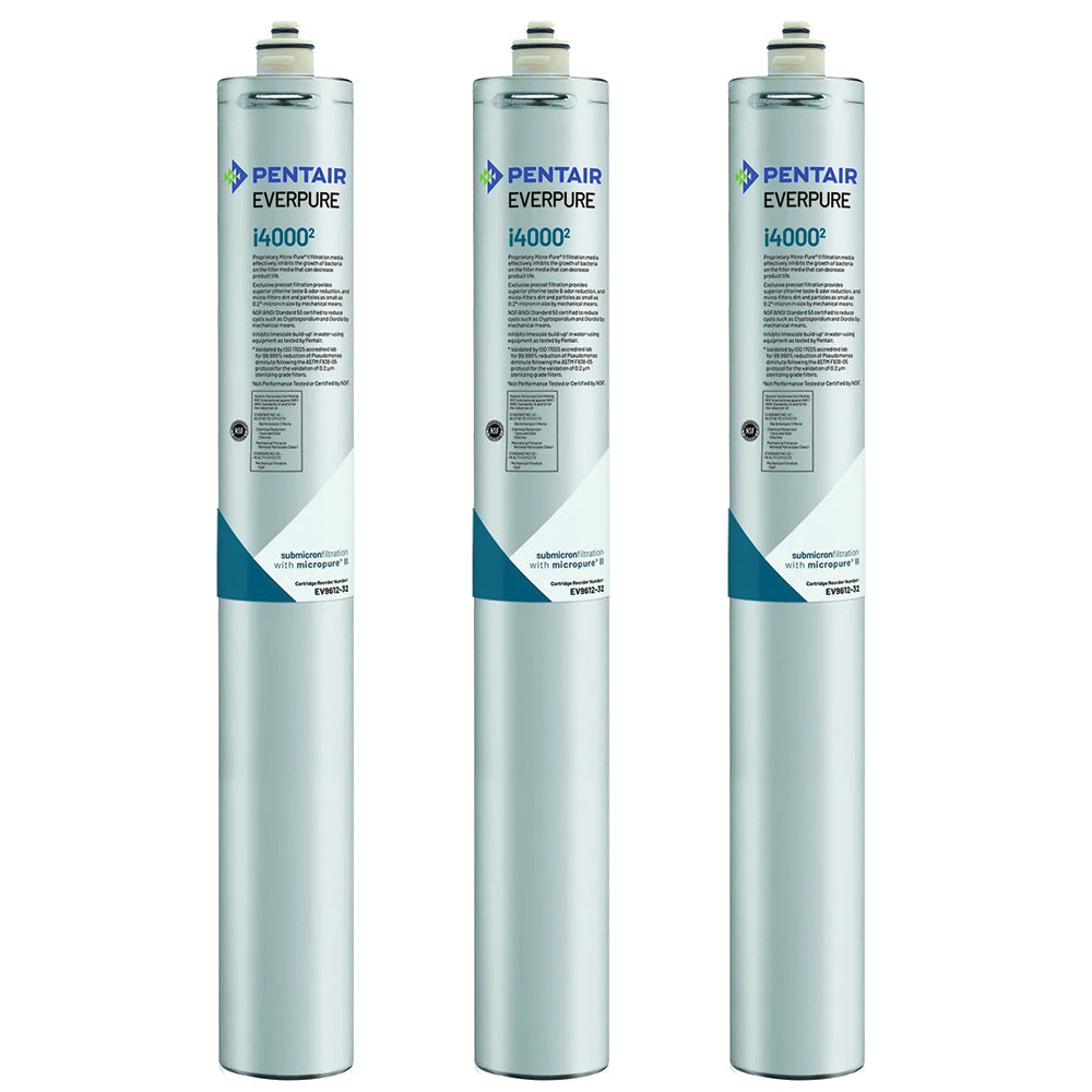 Everpure i4000 Ice Filter Cartridge (EV9612-37)