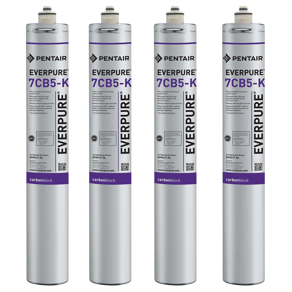 Everpure 7CB5 Steam Filter Cartridge (EV9618-16)