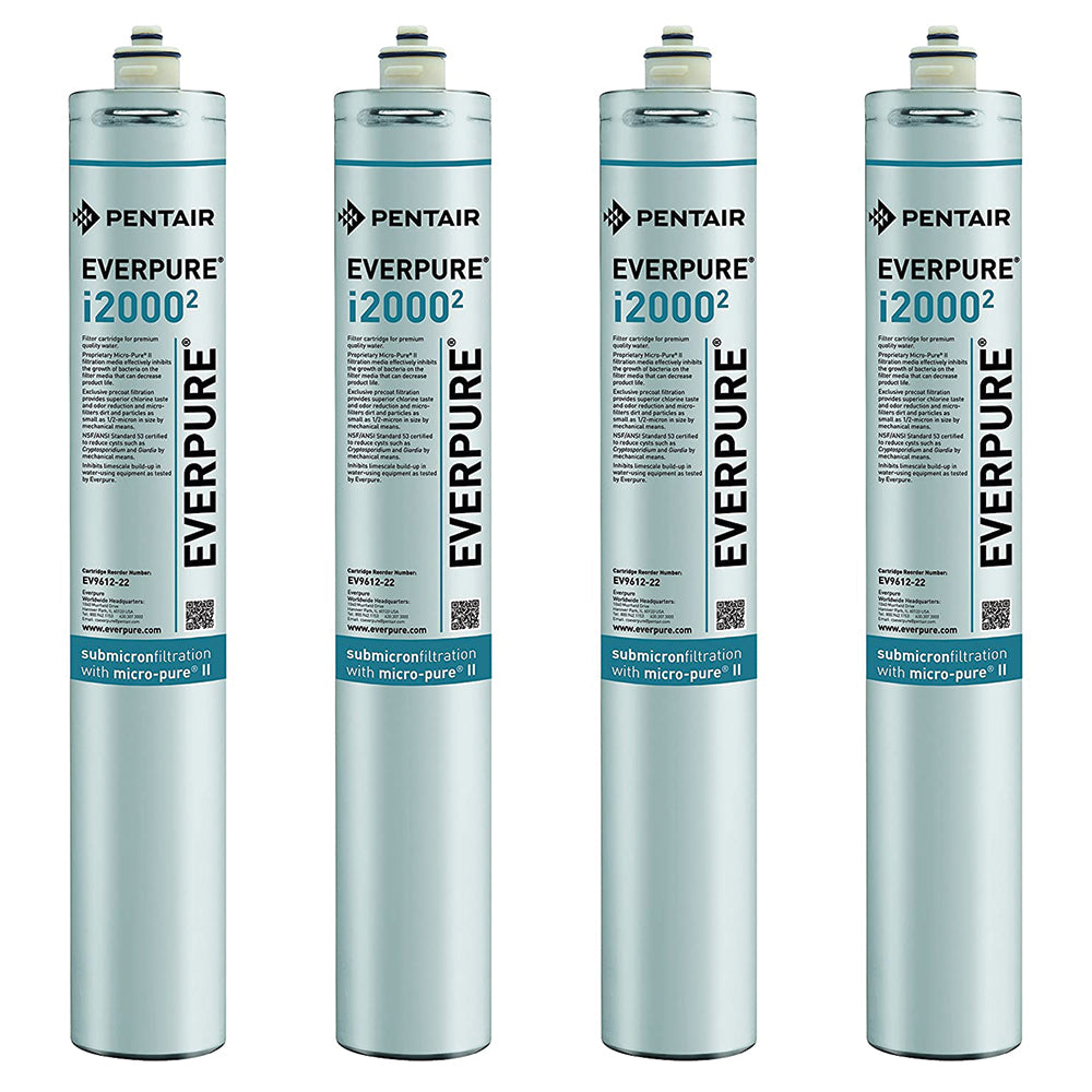 Everpure i2000 Ice Filter Cartridge (EV9612-27)
