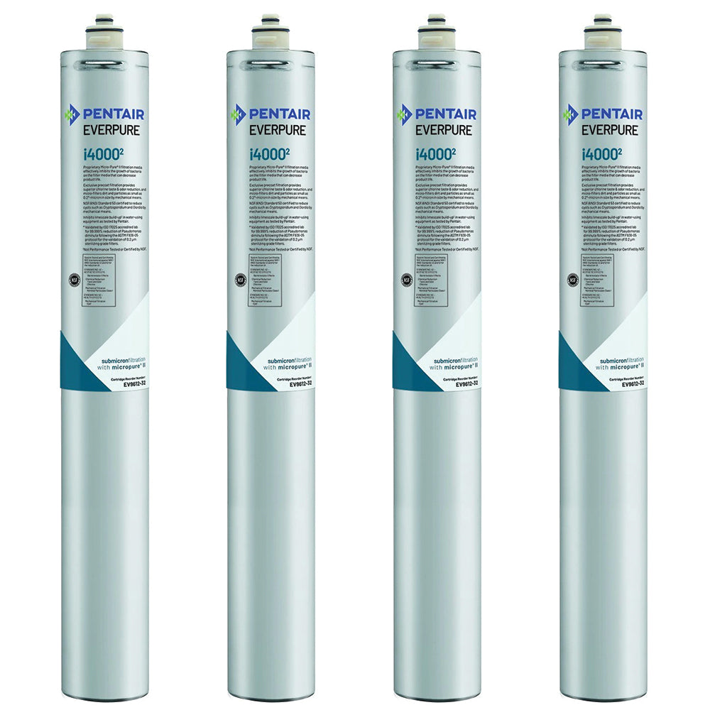 Everpure i4000 Ice Filter Cartridge (EV9612-37)