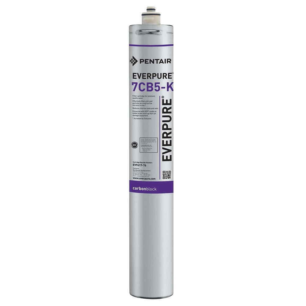 Everpure 7CB5 Steam Filter Cartridge (EV9618-16)