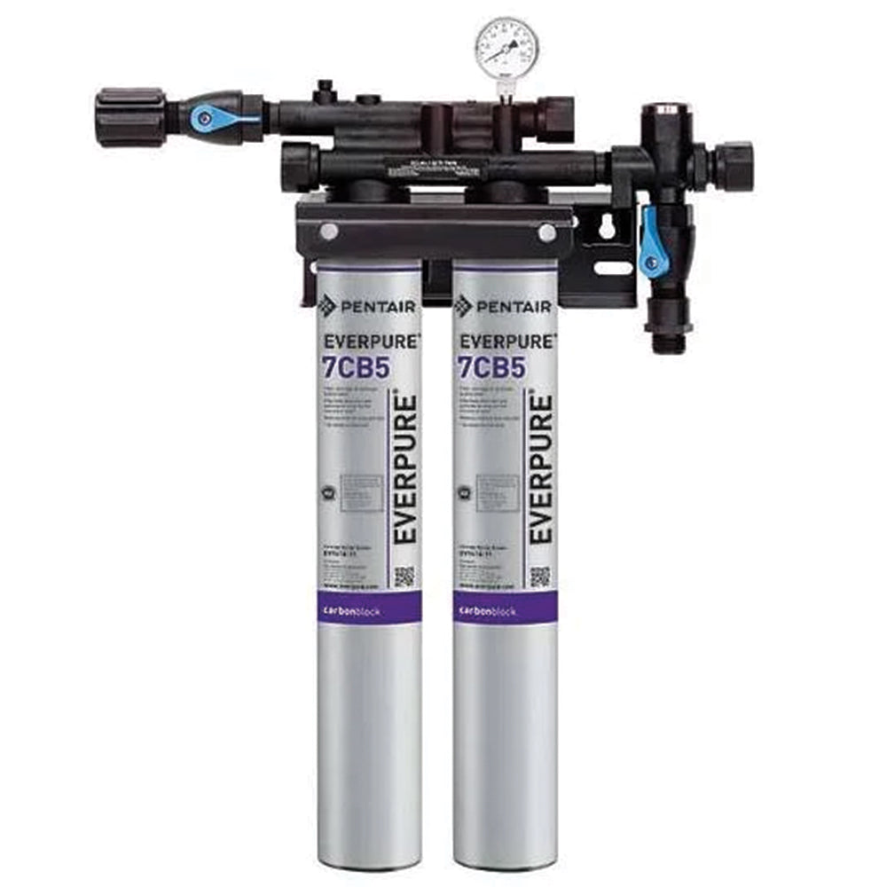 Everpure Kleensteam Filtration System (EV9797-50) (EV9797-22) (EV9797-40)