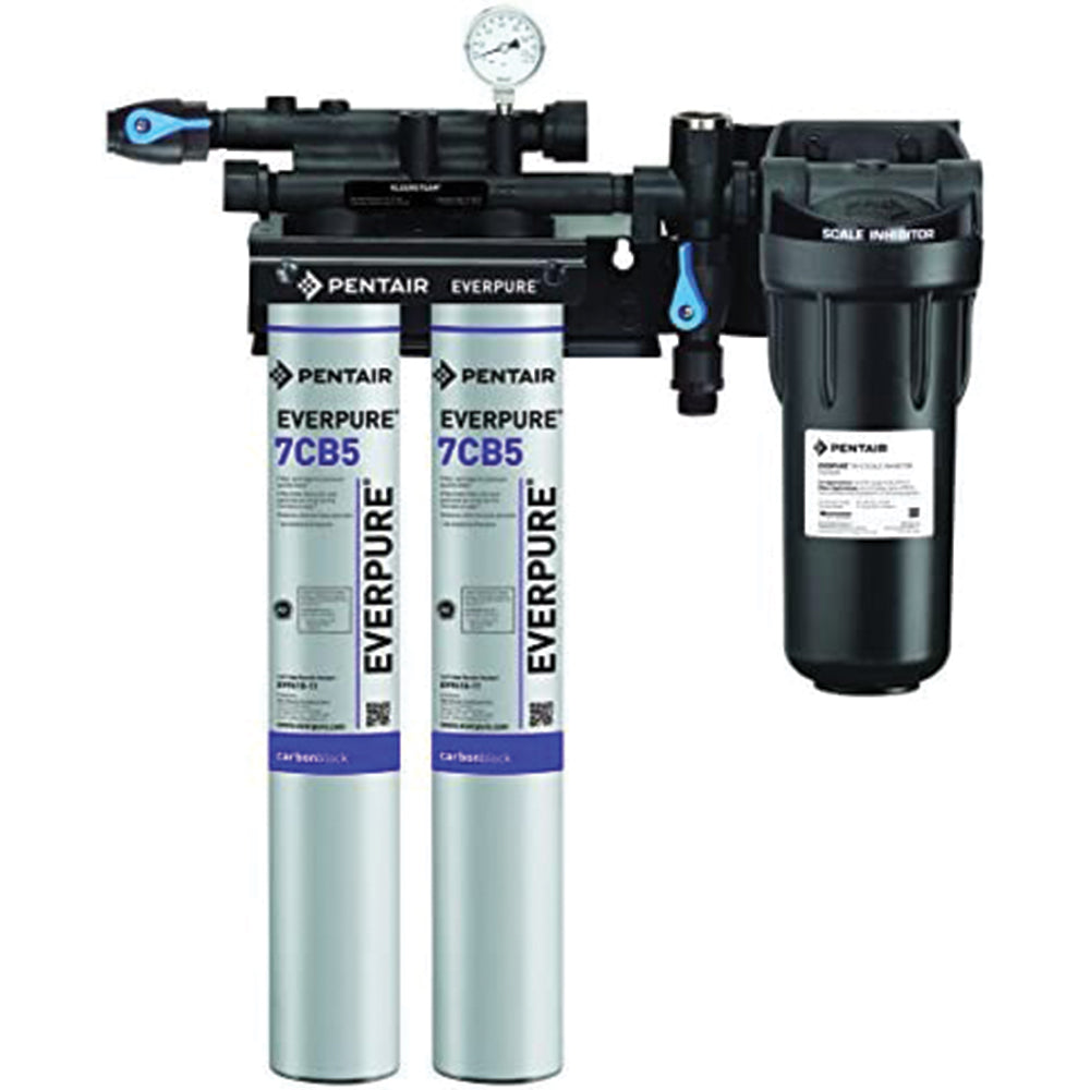 Everpure Kleensteam Filtration System (EV9797-50) (EV9797-22) (EV9797-40)
