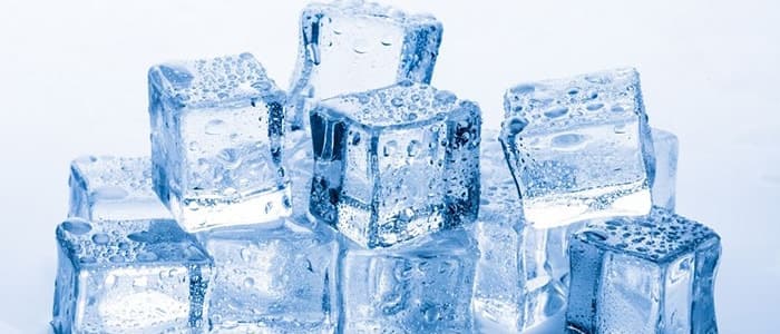 Everpure Ice Filters