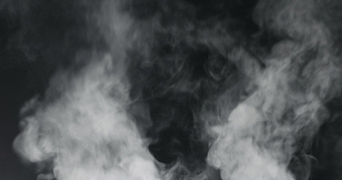 Everpure Steam Filters