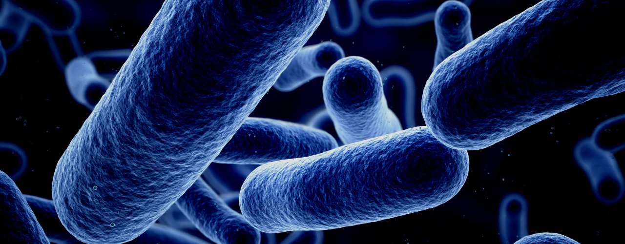 UV Sterilizers