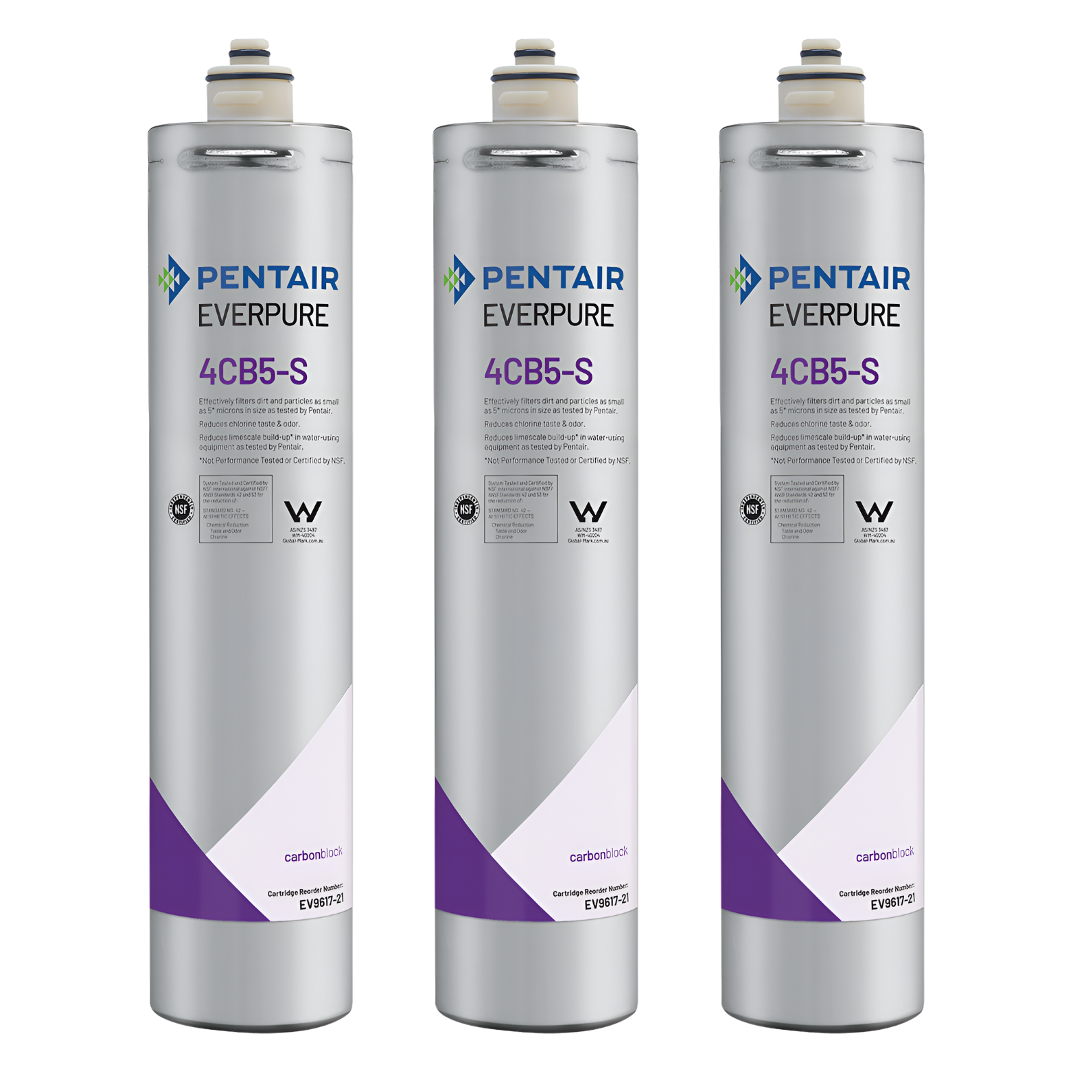 Everpure 4CB5-S Steam Filter Cartridge (EV9617-26/EV9617-21)
