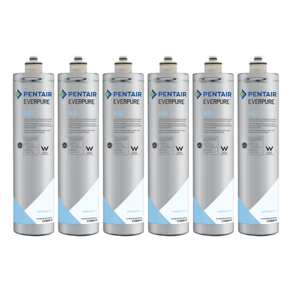 Everpure 4SI Ice Filter Cartridge (EV9606-51)