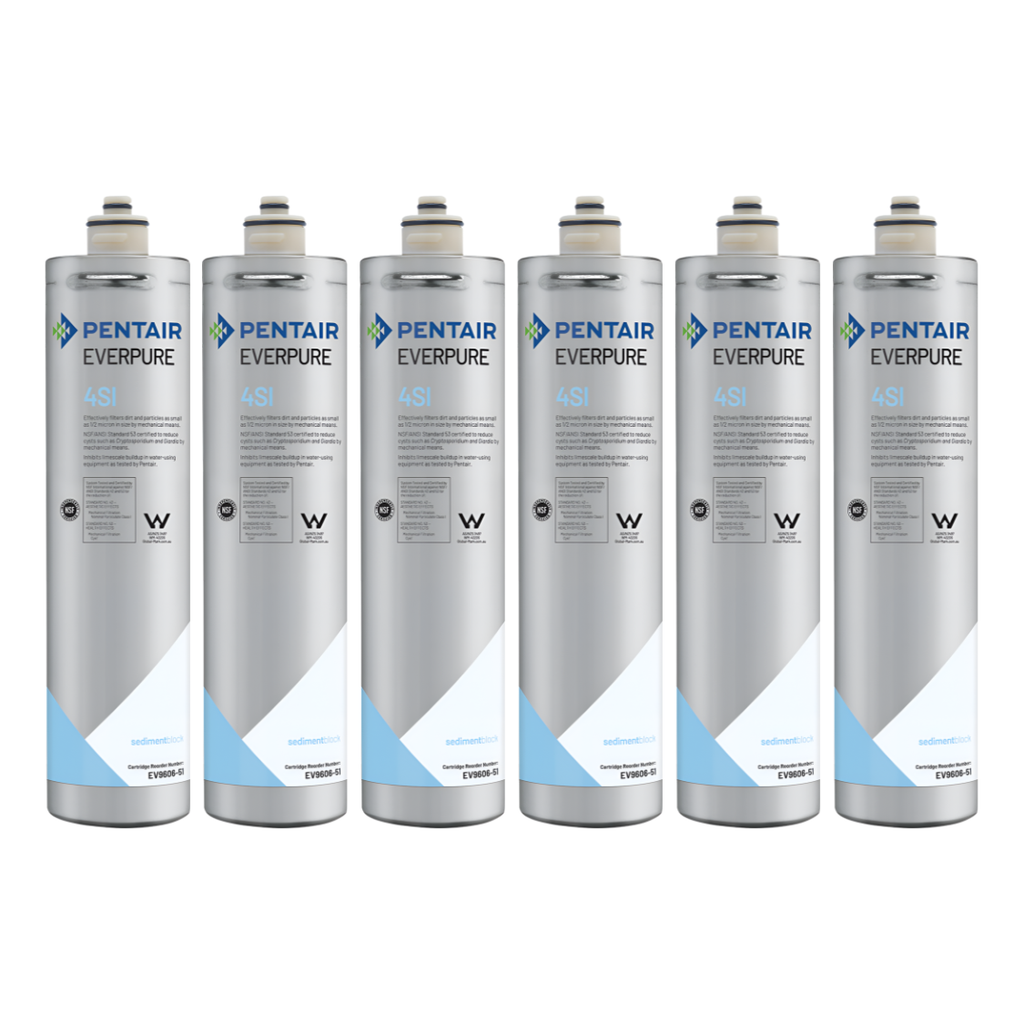 Everpure 4SI Ice Filter Cartridge (EV9606-51)