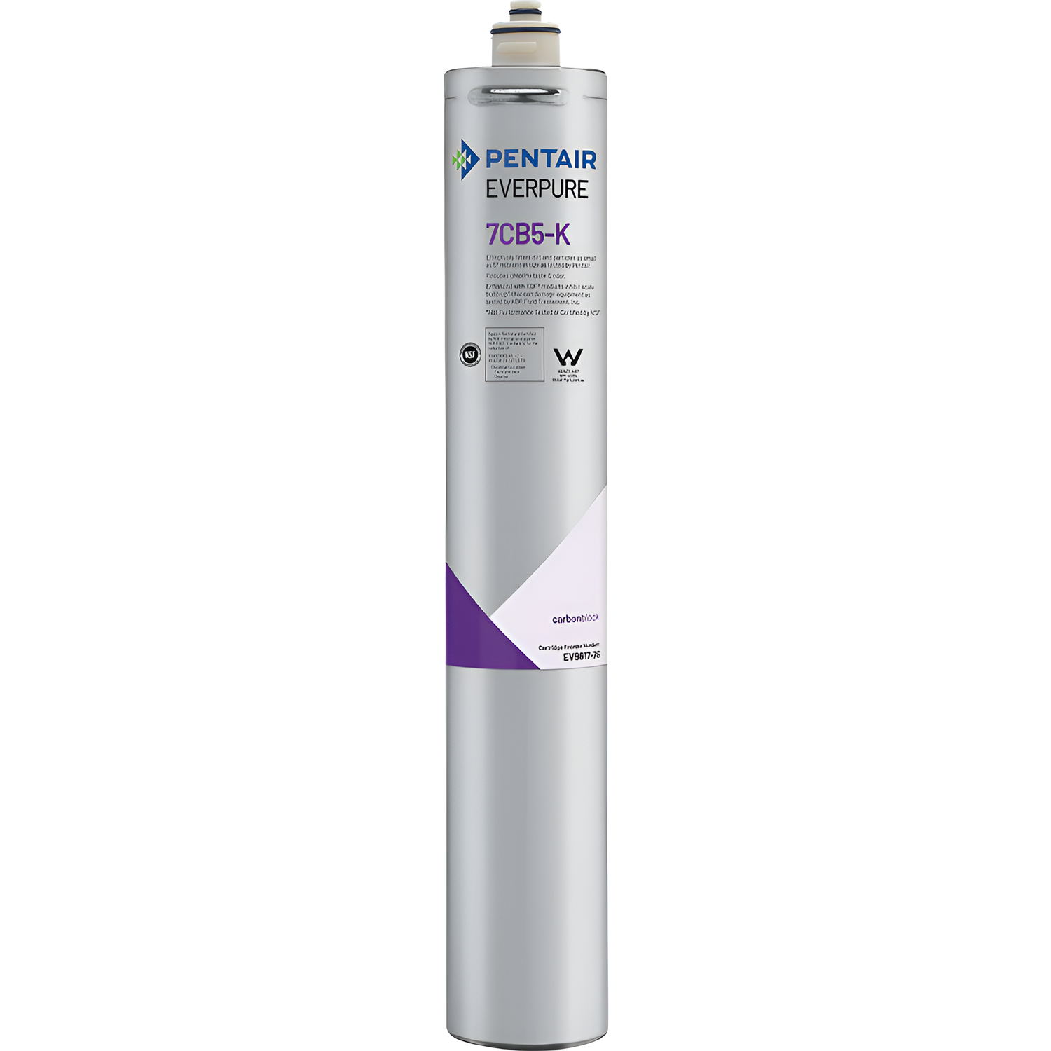 Everpure 7CB5 Steam Filter Cartridge (EV9618-76)