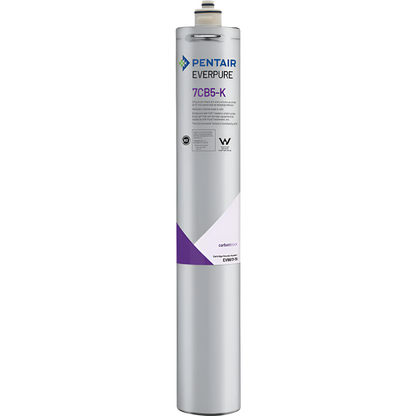 Everpure 7CB5 Water Filter Cartridge (EV9618-11)