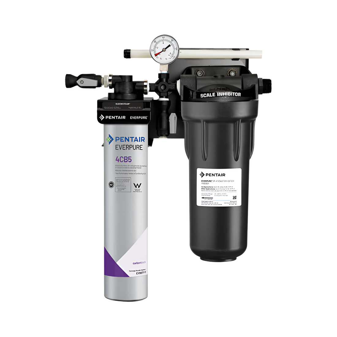 Everpure Kleensteam Filtration System (EV9797-50) (EV9797-22)