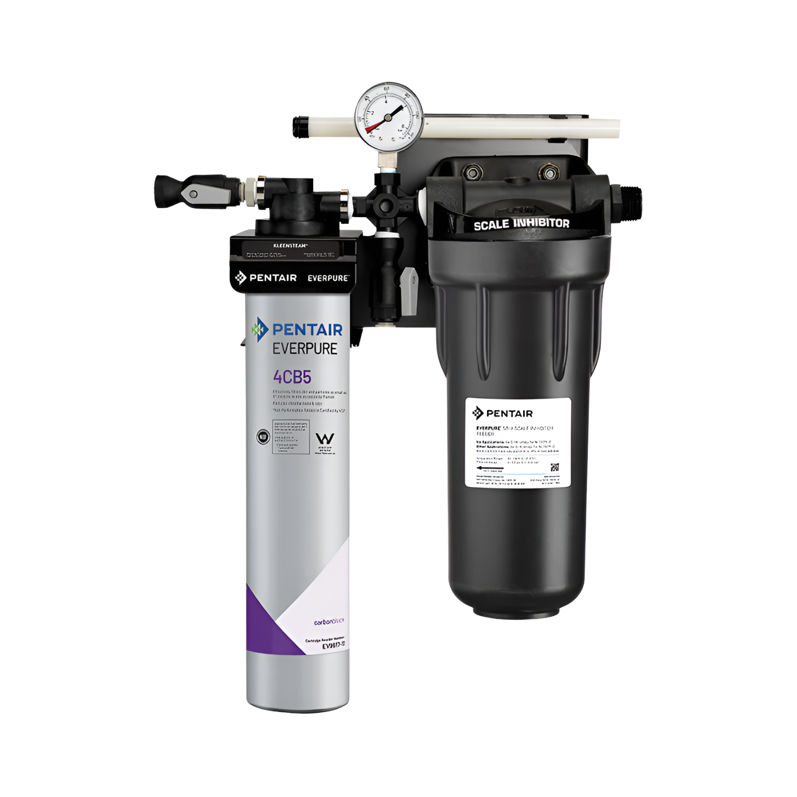 Everpure Kleensteam Filtration System (EV9797-50) (EV9797-22)