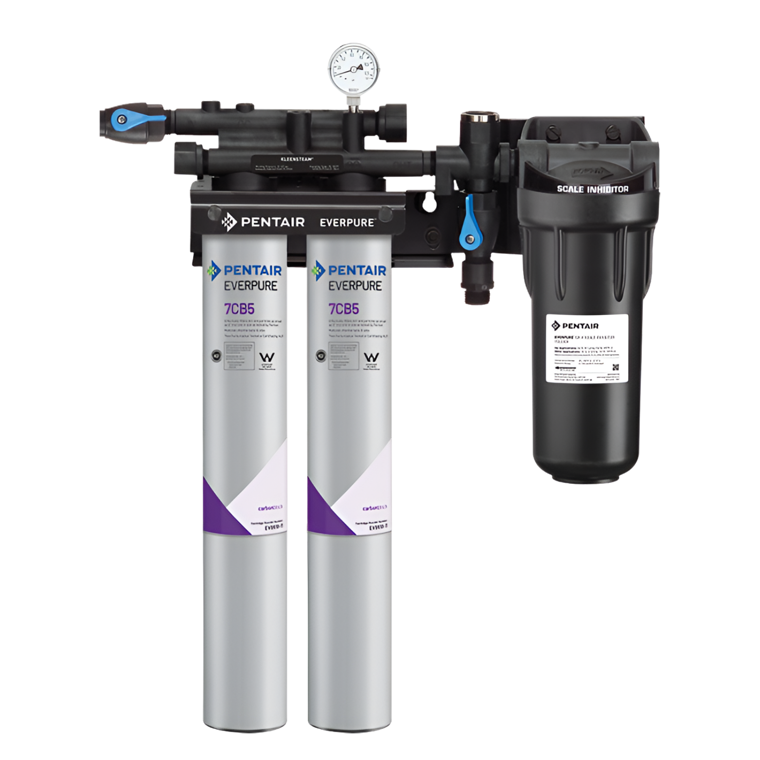 Everpure Kleensteam Filtration System (EV9797-50) (EV9797-22)