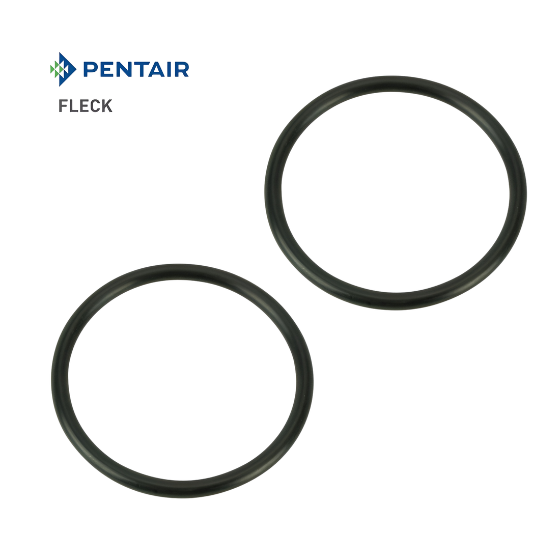 Fleck O-Ring Pentair OEM Part 13305