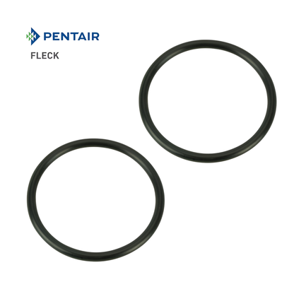 Fleck O-Ring Pentair OEM Part 13305