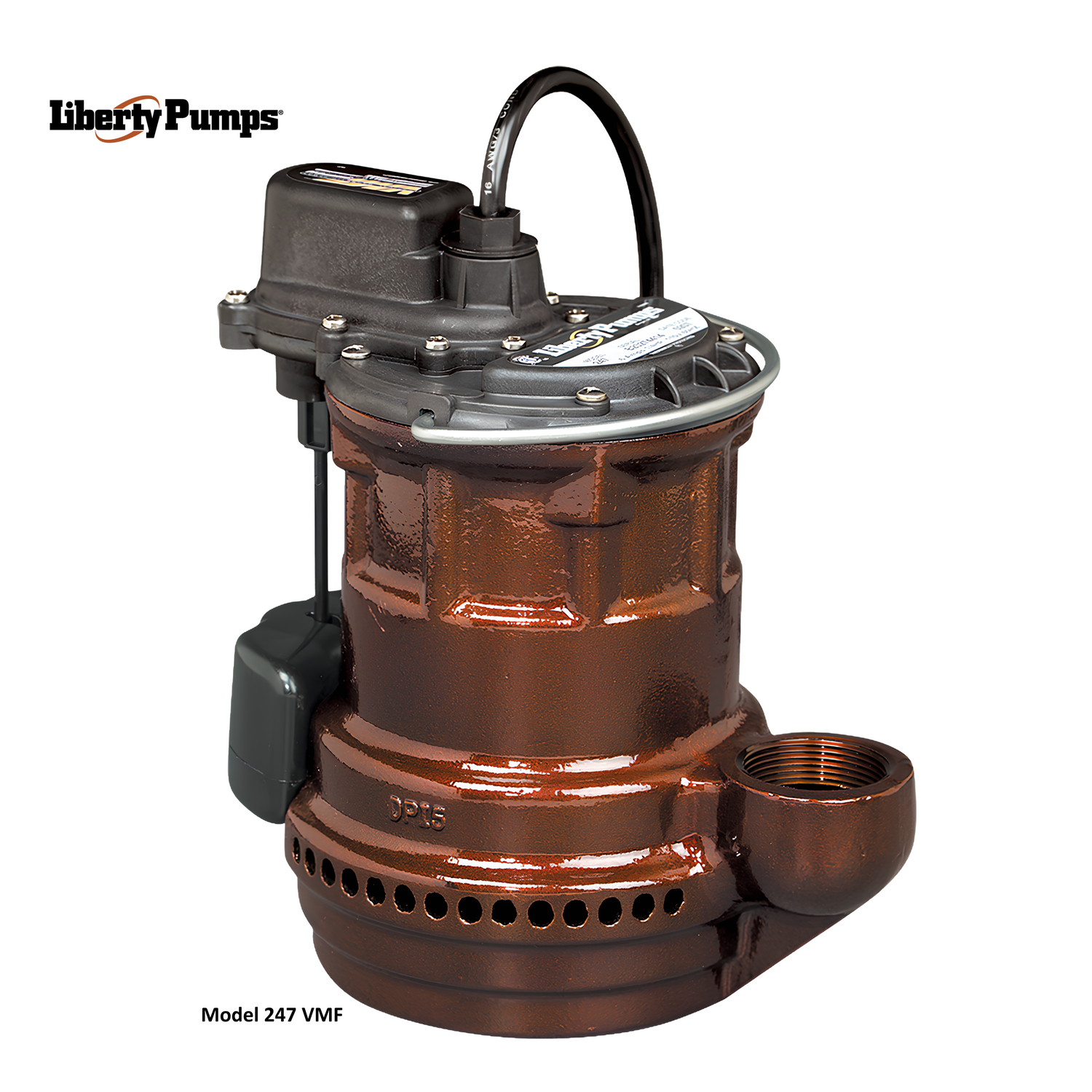 Liberty Pumps 240 Series 1/4 hp Cast Iron Sump Pump
