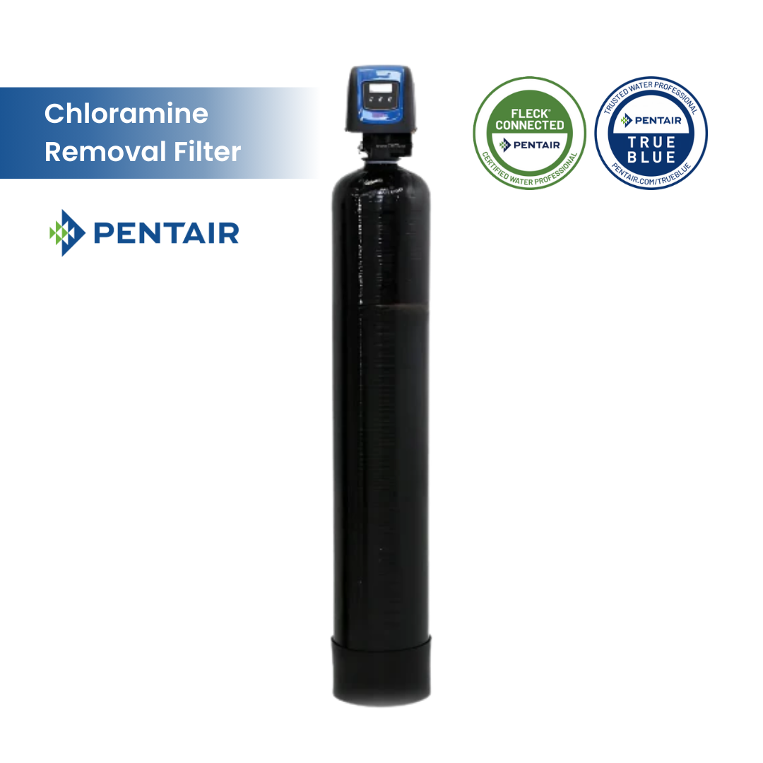 Fleck 5800 SXT Whole House Catalytic Carbon Filter