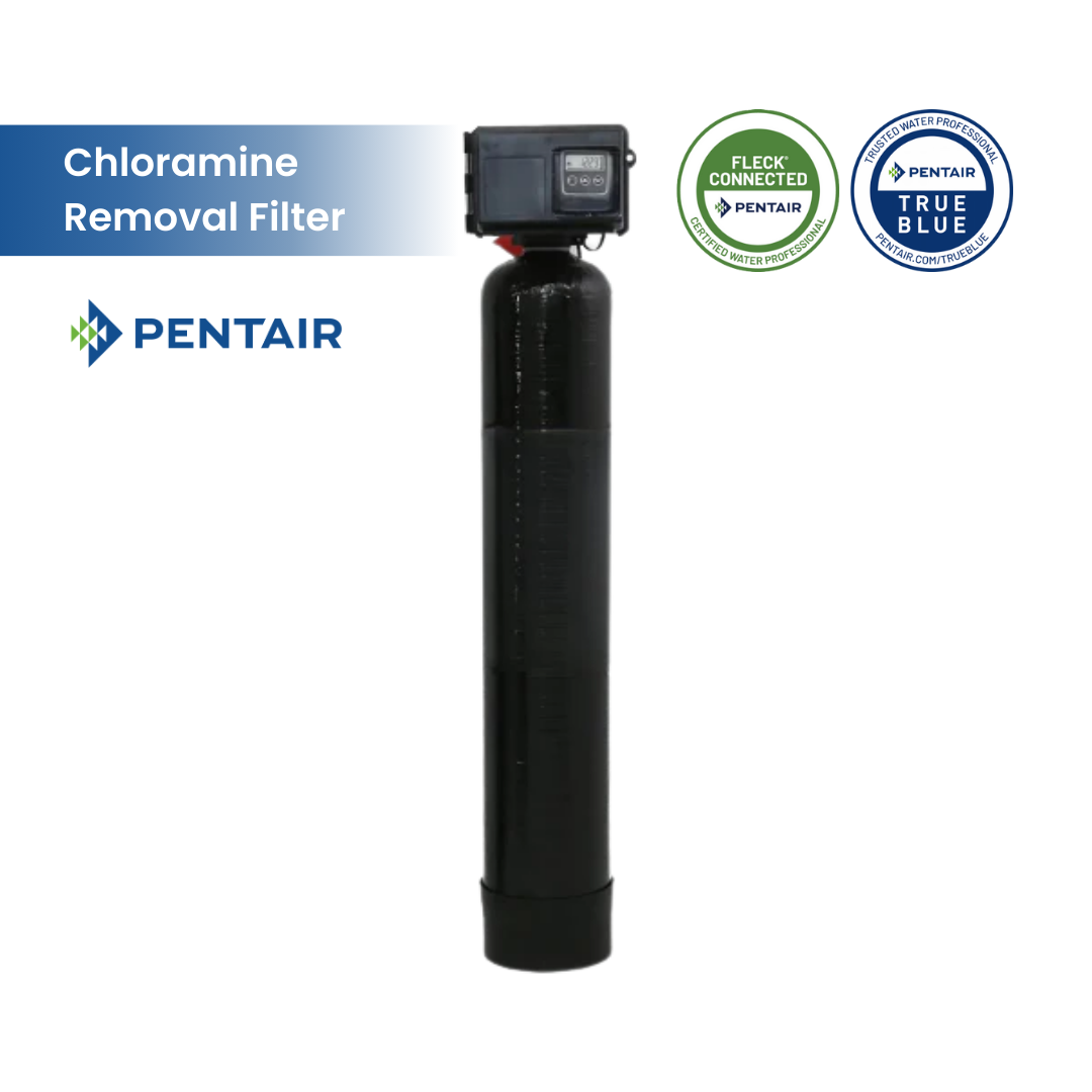 Fleck 2510 SXT Whole House Catalytic Carbon Filter