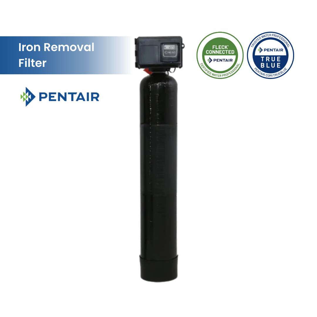 Fleck 2510 SXT AIO Whole House Iron Filter