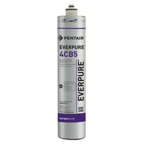 Everpure 4CB5 Replacement Filter Cartridge (EV9617-16)