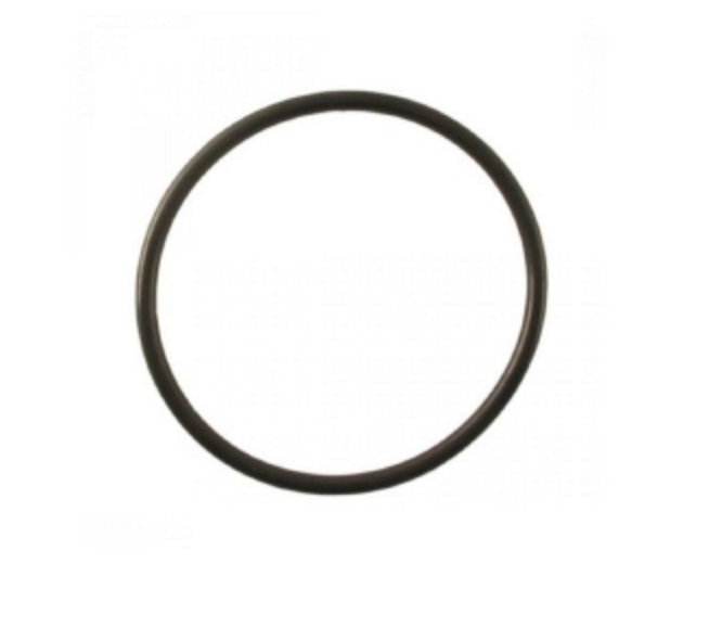 Aqua Flo® Valve-in-Head Housing Kit (WVIH34SS/26069)