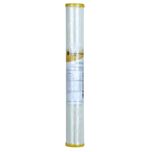 Pentair ECP-50  Pleated Sediment Filter (255484-43) (255488-43) (255492-43) (255496-43)