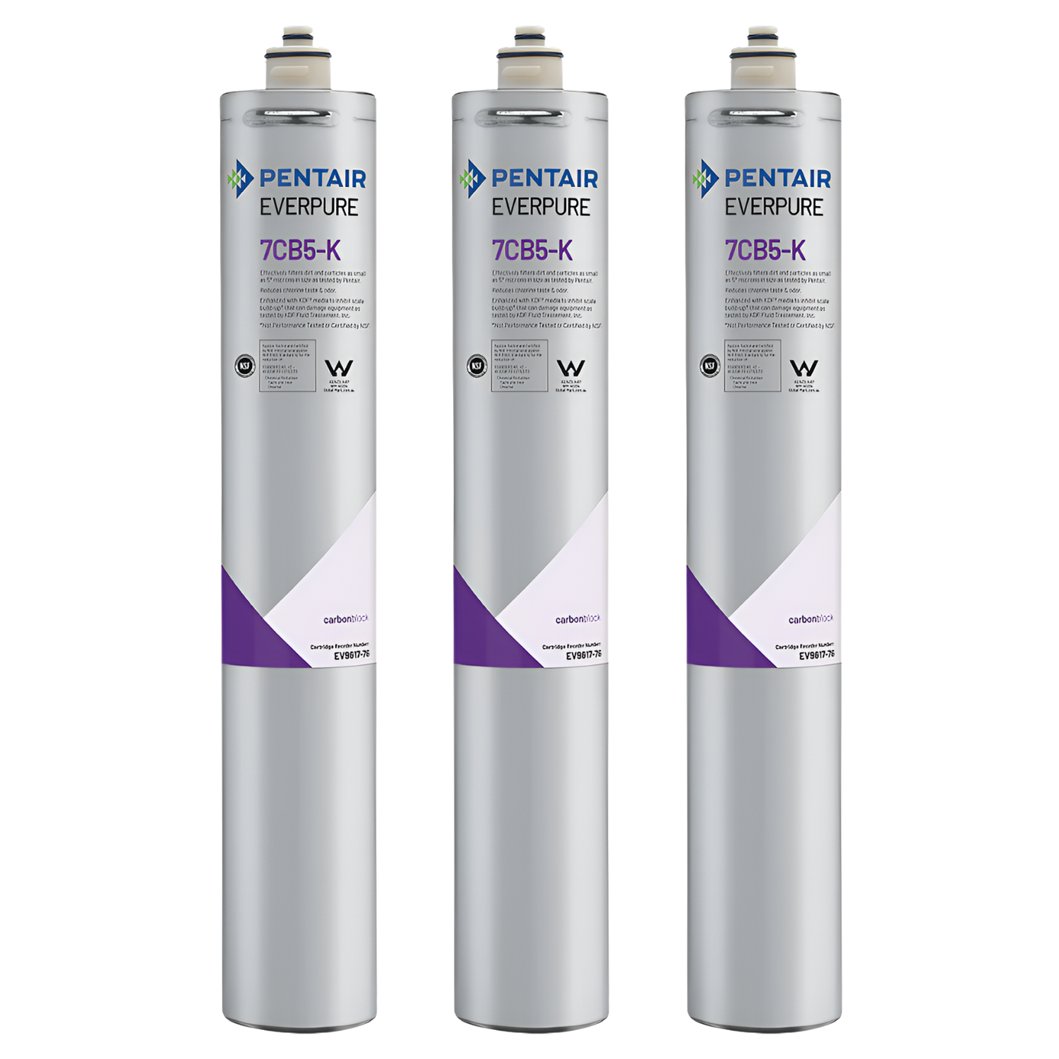 Everpure 7CB5 Steam Filter Cartridge (EV9618-76)