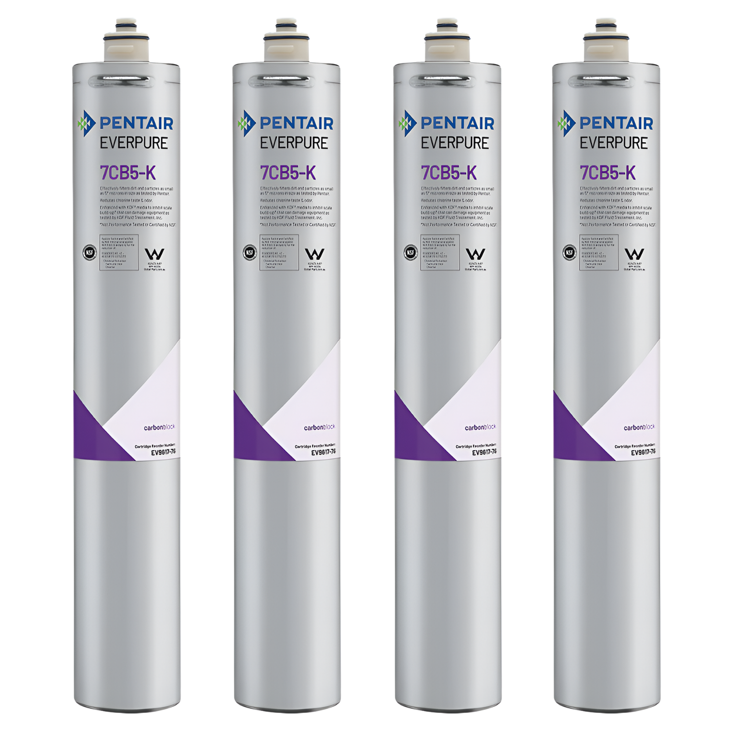 Everpure 7CB5 Steam Filter Cartridge (EV9618-76)