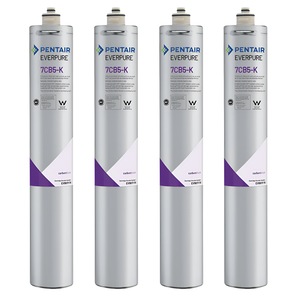 Everpure 7CB5 Steam Filter Cartridge (EV9618-76)