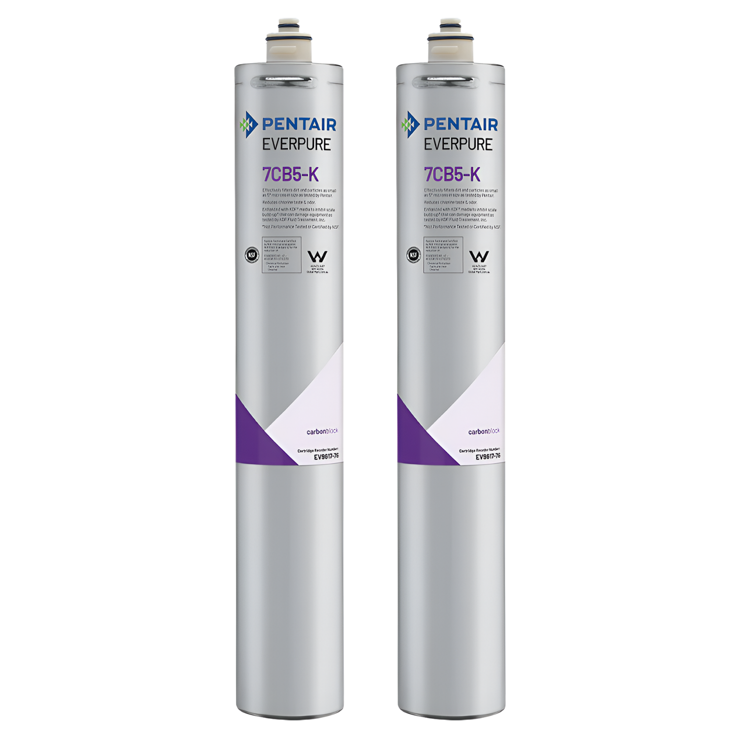 Everpure 7CB5 Steam Filter Cartridge (EV9618-76)