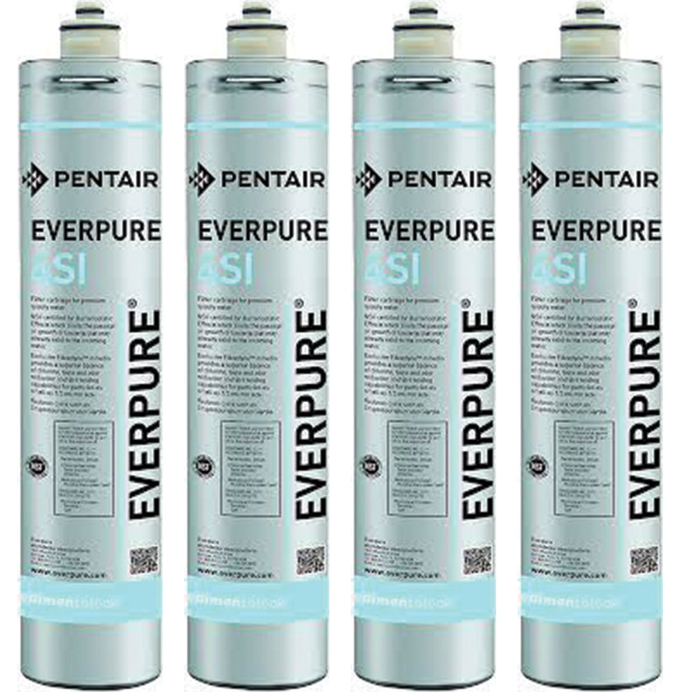 Everpure 4SI Ice Filter Cartridge (EV9606-51)